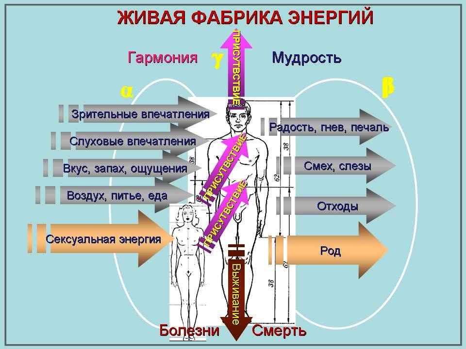 5 энергий в теле человека